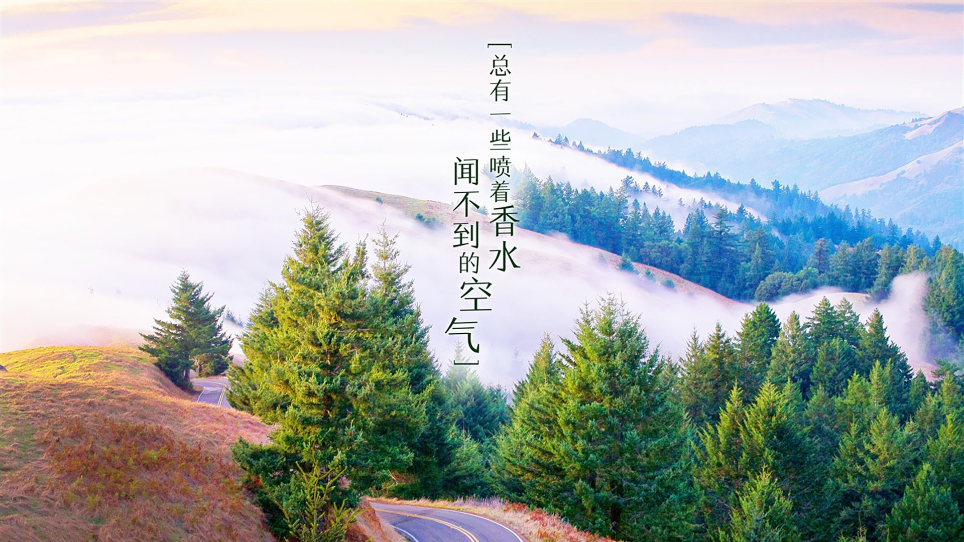 当日MVP：王强精准三分，荣获最佳！，王强vs钻石