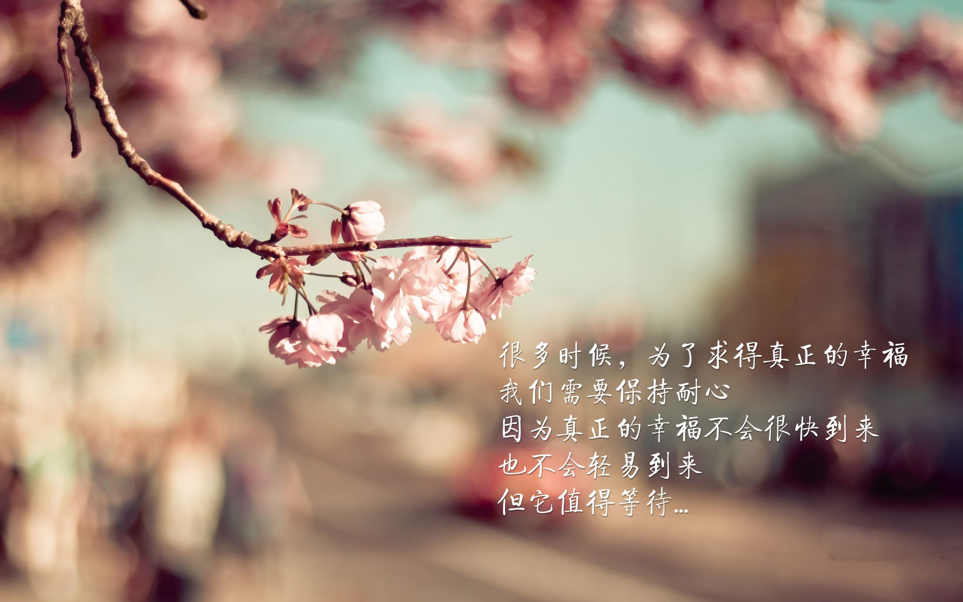 惊险对决！球队临危不乱准备应对挑战