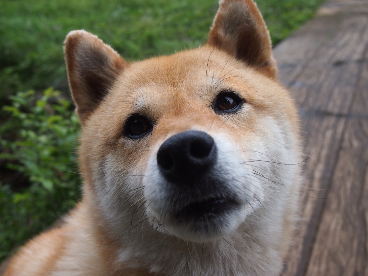 CBA裁判系统升级 提升比赛公正性,cba裁判管理