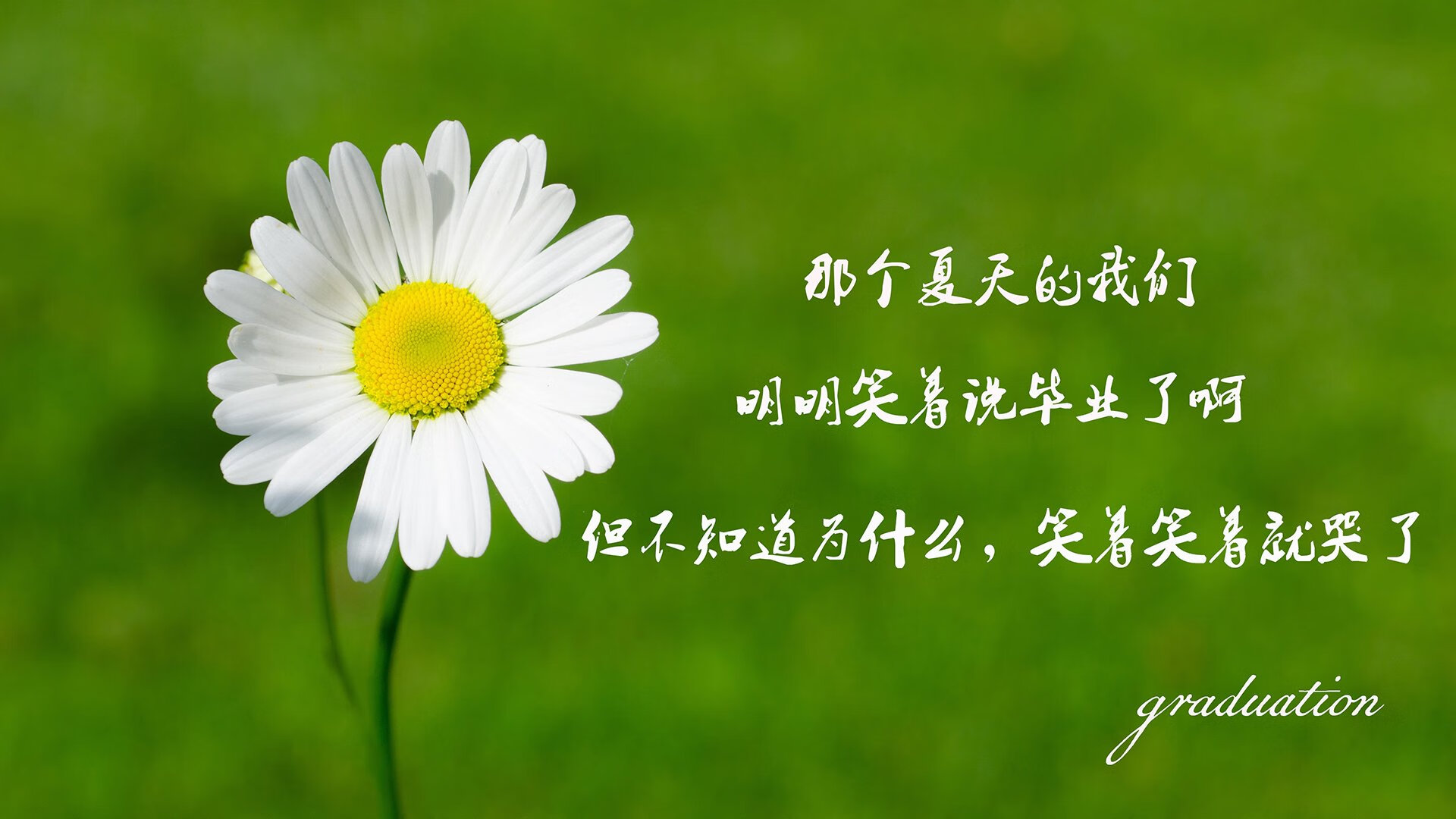 德甲球队的战术录像分析技术，德甲比赛视频录像