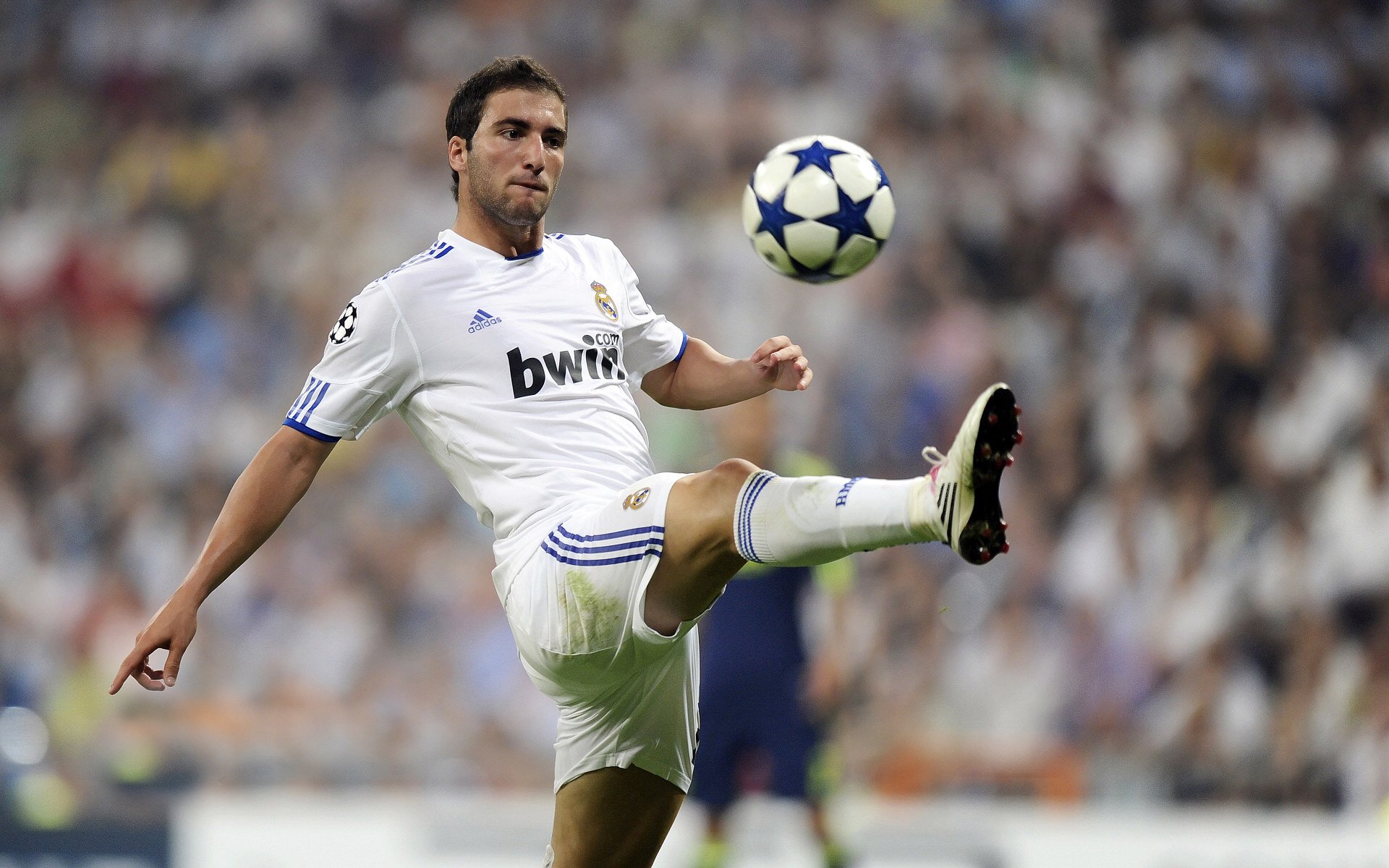 开云官网在线-【场地环境】不同场馆对比赛结果的隐性影响，比赛场地是什么意思