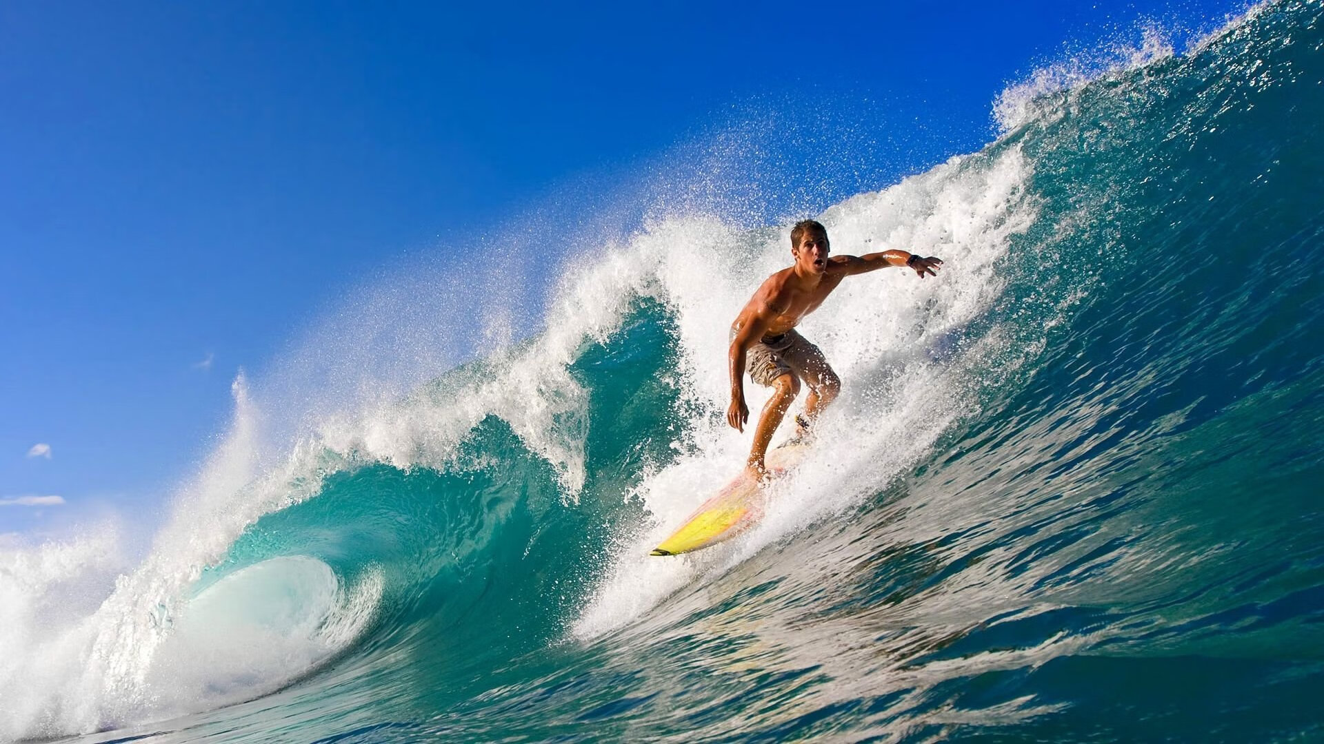 史上最大“黑马军团”逆转夺冠，神话成就！，黑马军团是什么电视剧