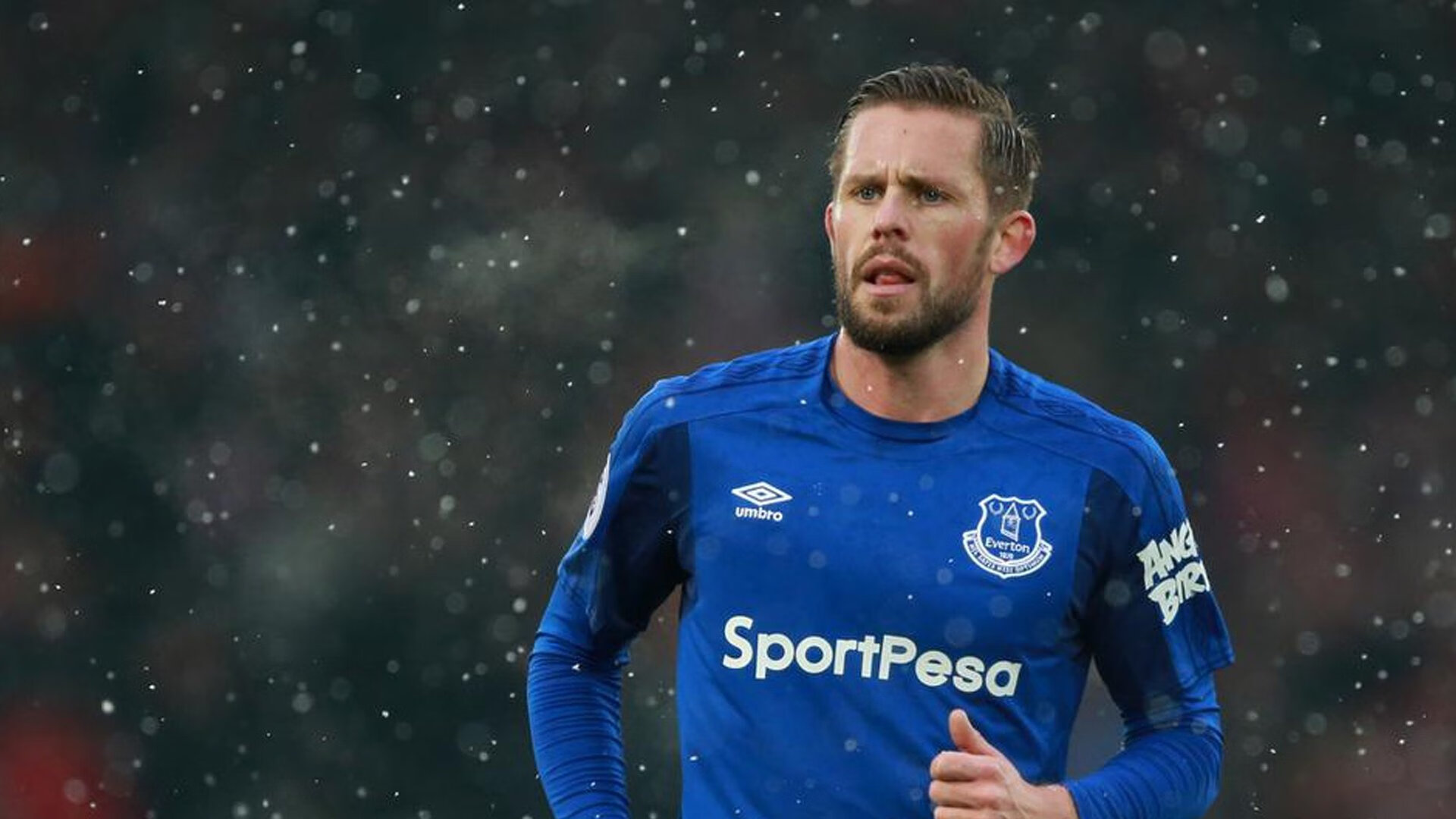 球迷狂欢夜：球场变成了欢乐的海洋，球迷疯狂庆祝照片